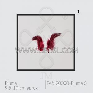 Pluma S
